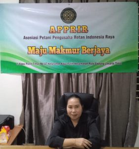 Dorong Industri dan Petani, APPRIR Usulkan Evaluasi Tata Kelola Rotan