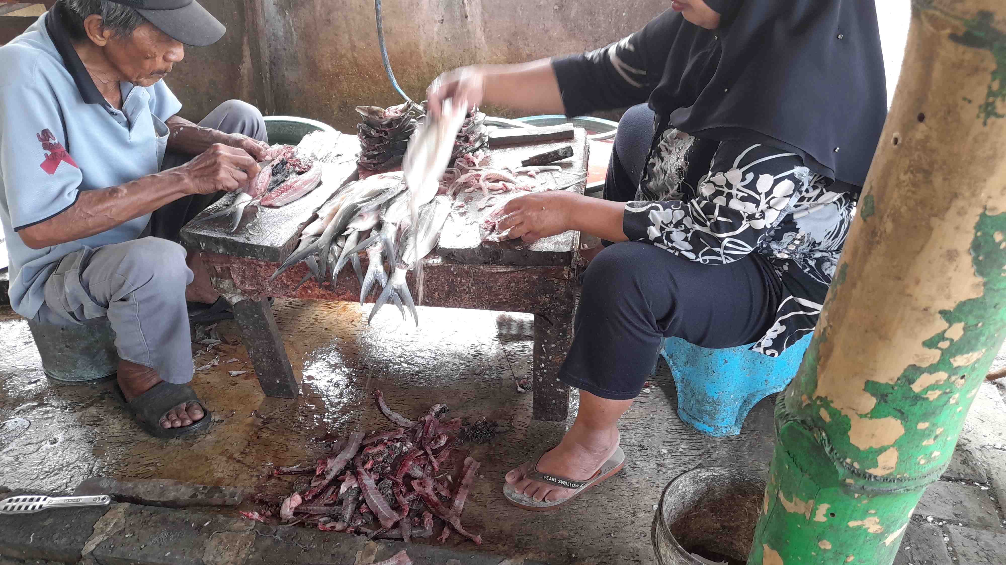 Proses pembersihan ikan Bandeng