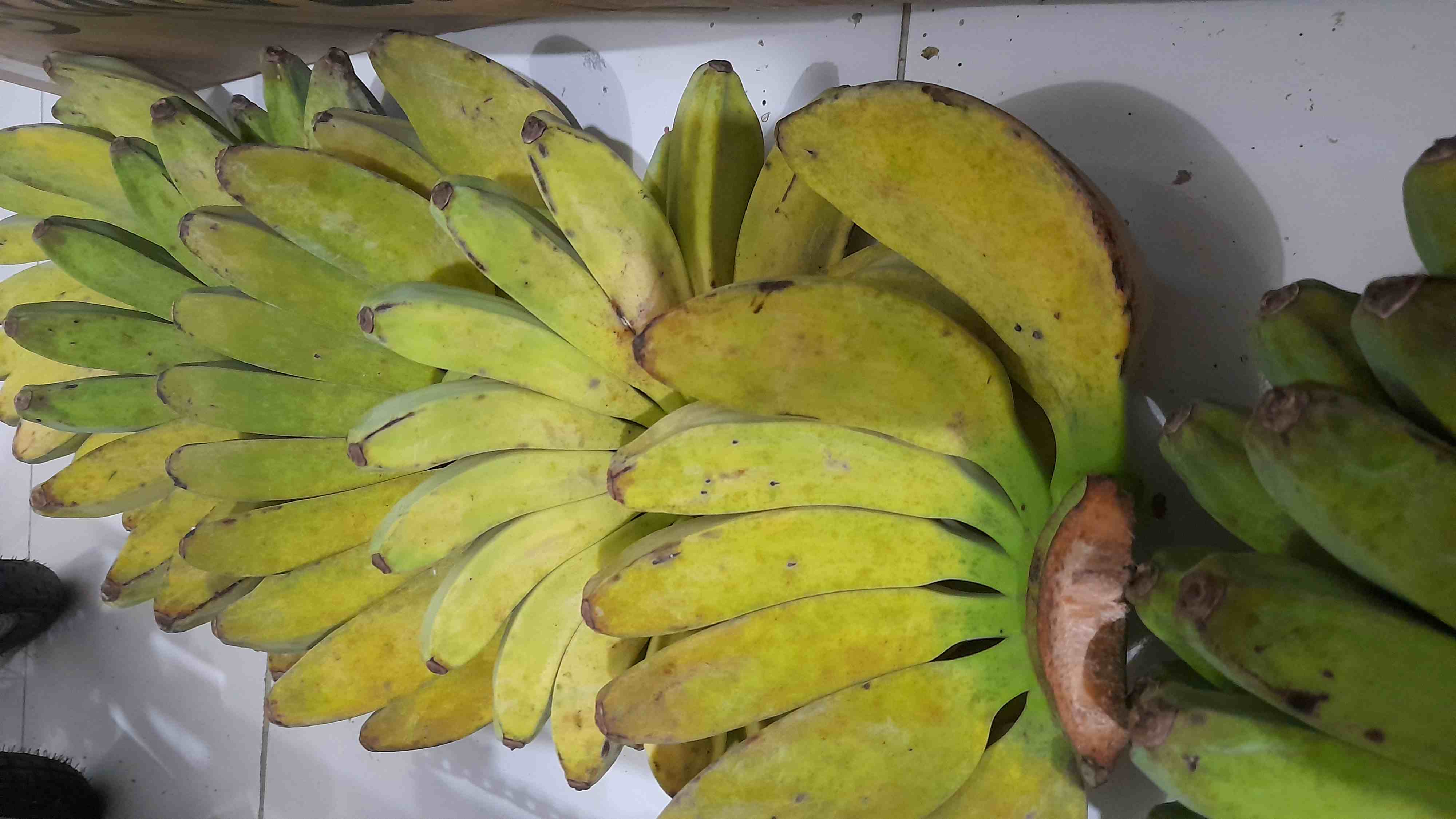 Pisang Kepok setelah proses penggeraman